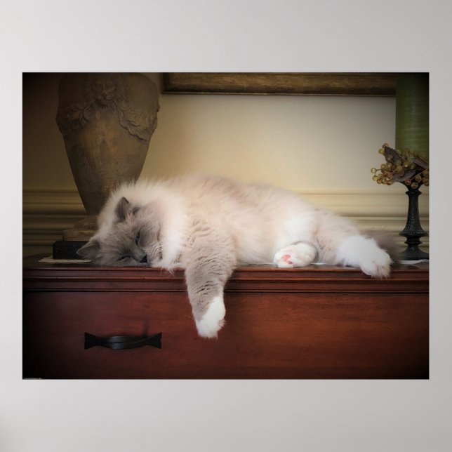 Poster Dias Lentos, (Frente)