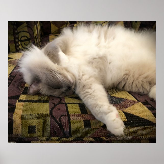 Poster Dias Lentos, (Frente)