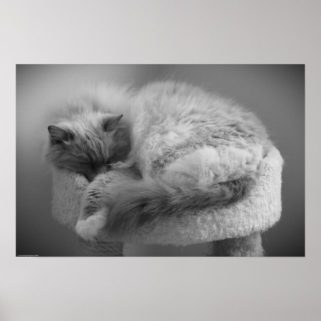 Poster Dias Lentos, (Frente)