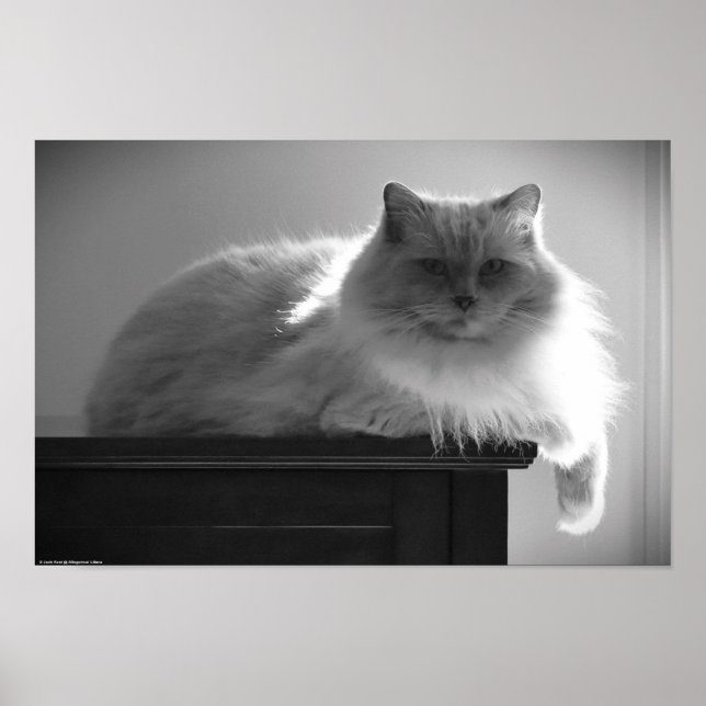 Poster Dias Lentos, (Frente)