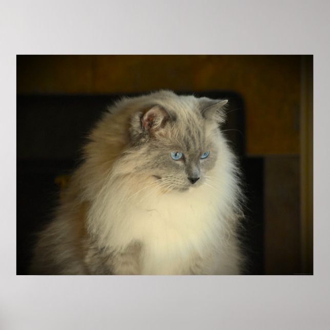 Poster Dias Lentos, (Frente)