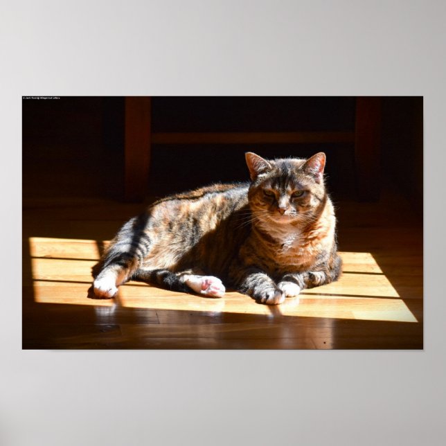 Poster Dias Lentos, (Frente)