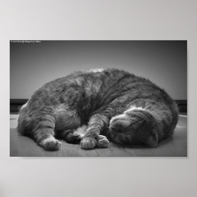 Poster Dias Lentos, (Frente)