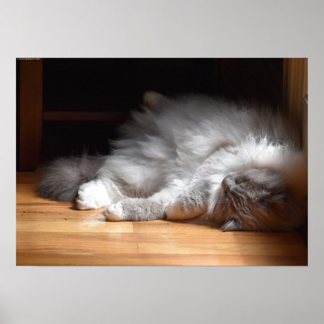 Poster Dias Lentos, (Frente)