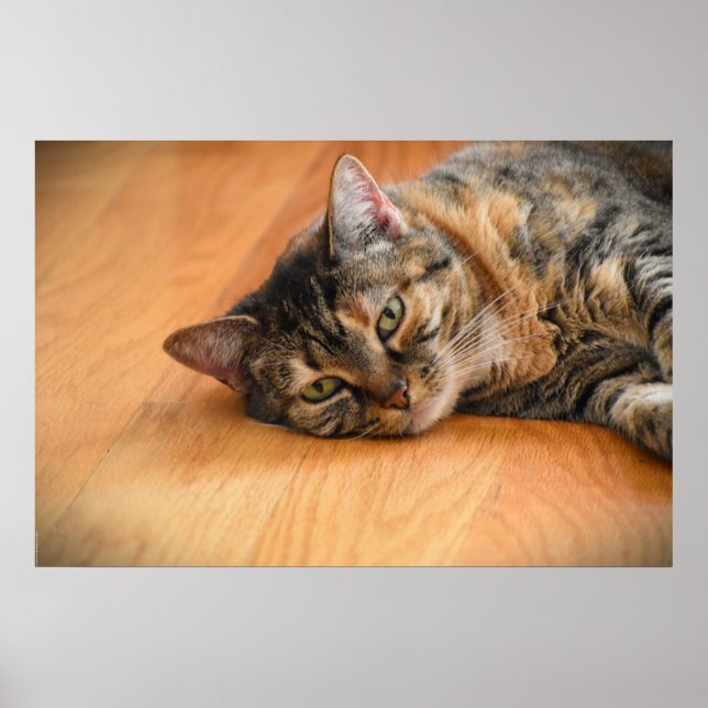 Poster Dias Lentos, (Frente)