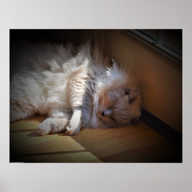 Poster Dias Lentos, (Frente)