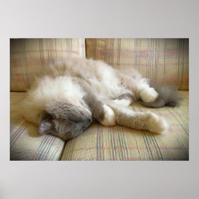 Poster Dias Lentos, (Frente)