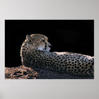 Poster Dias Preguiçosos