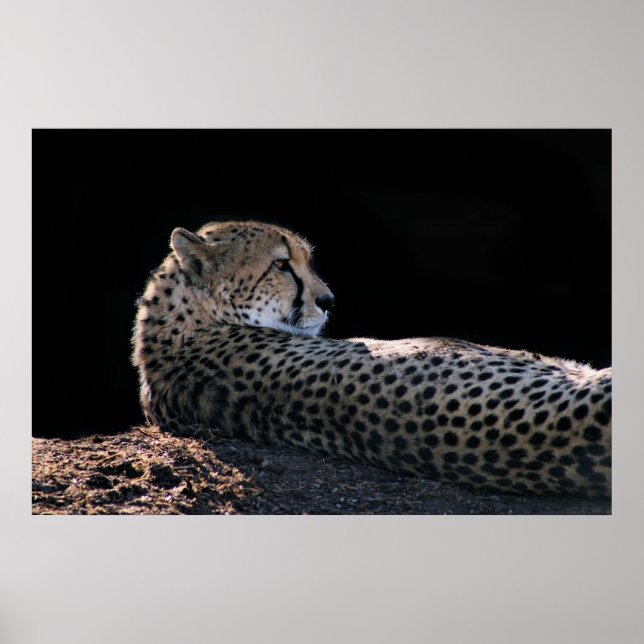 Poster Dias Preguiçosos (Frente)