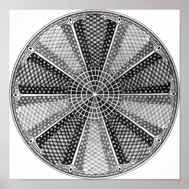 Póster Diatom 13 Ernst Haeckel Fine Art (Frente)