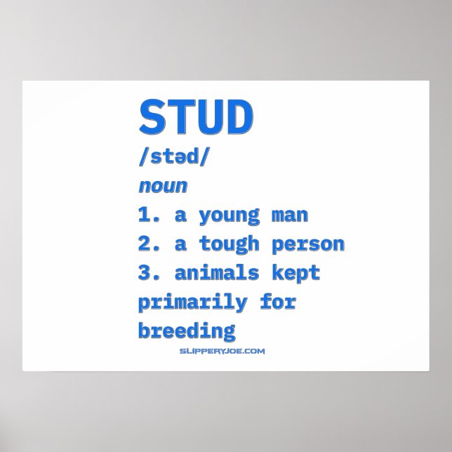 Poster Dicionário de animais de definição de stud do Slip (Frente)