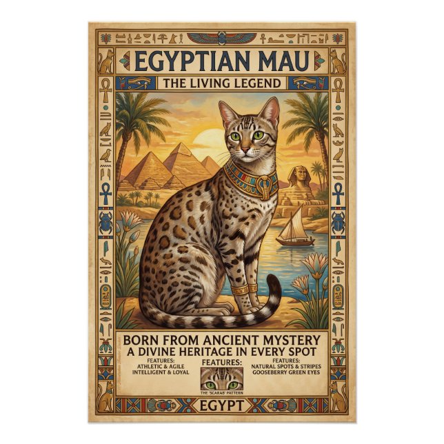 Póster Die Ägyptische Mau  (Frente)