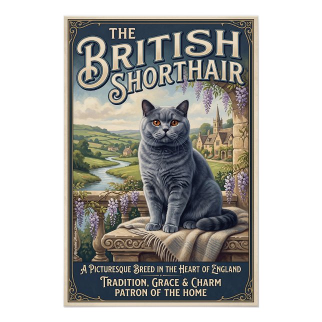 Póster Die Britisch Kurzhaar  (Frente)