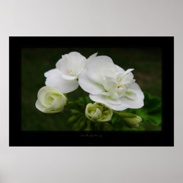 Póster die Entfaltung