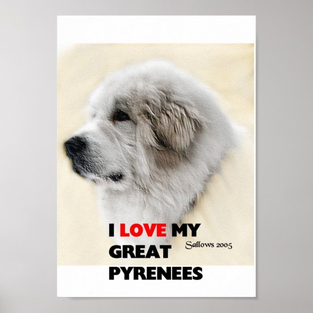 Póster diego (Frente)