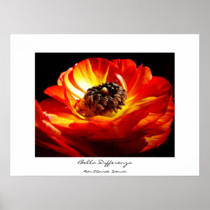 Póster Diferença (com nome)