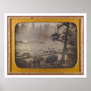 Póster Diggings no urso liso, EL Dorado Co. (40070)
