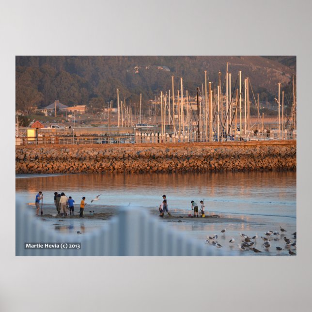 Poster Digitalização de Amêijoas (Frente)