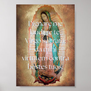 Poster Dignare me Imprimir