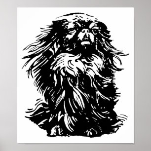Póster Dignidade Pekingese