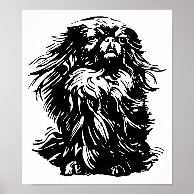 Póster Dignidade Pekingese (Frente)