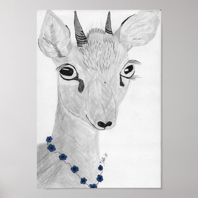 Poster Dik - Dik (Frente)