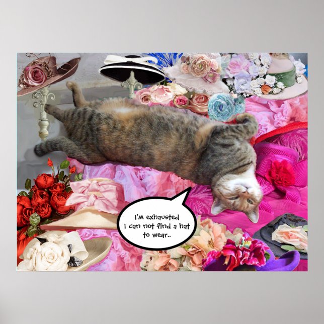 Póster Dilema da Princesa Tatus Cat com Chapéus Diva (Frente)