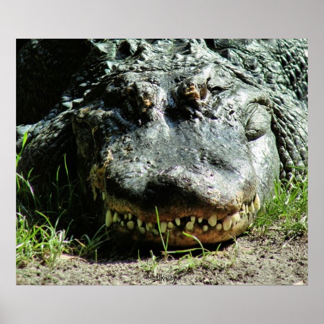 Poster Dinassauro (Frente)