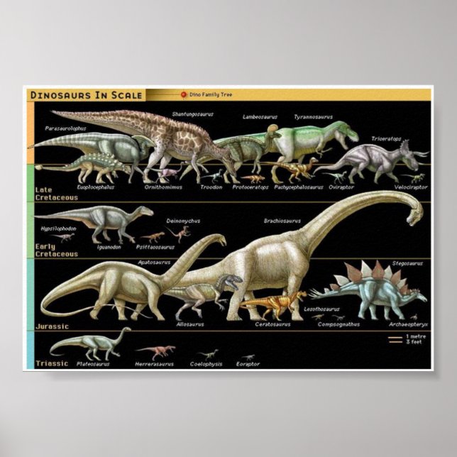 Poster Dinosaur Timeline Biology (Frente)