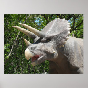 Póster Dinosaur Triceratops