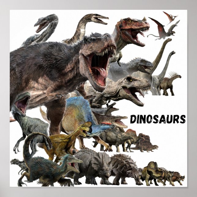 Poster Dinosaurs  (Frente)