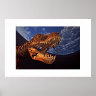 Póster Dinossauro