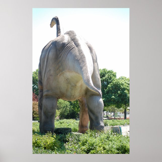Póster Dinossauro Brontosauro (Frente)