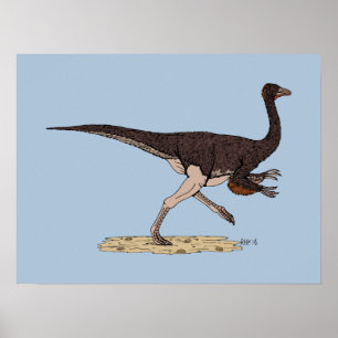 Póster Dinossauro Cretáceo Ornithomimus