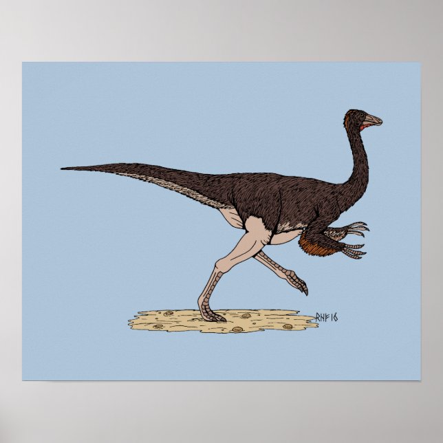 Póster Dinossauro Cretáceo Ornithomimus (Frente)