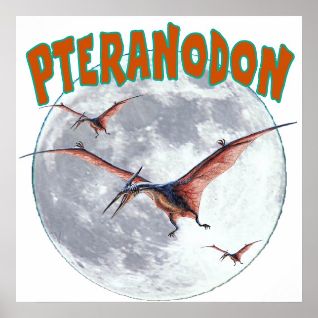 Póster Dinossauro Pteranodon (Frente)