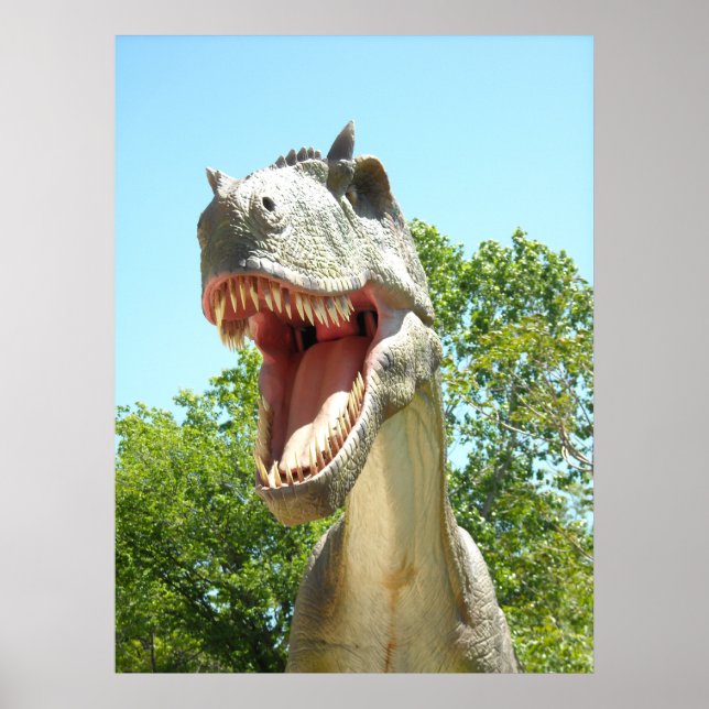 Póster Dinossauro T-Rex (Frente)