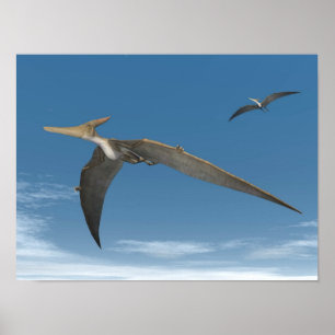 Poster Dinossauros de Pteranodon que voam - 3D rendem