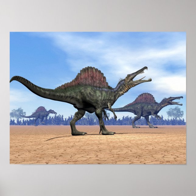 Póster Dinossauros do espinossauro caminham - renderizaçã (Frente)