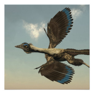 Póster Dinossauros dos pássaros do Archaeopteryx que voa