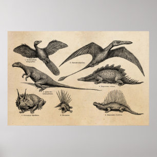 Poster Dinossauros retros da ilustração do dinossauro d