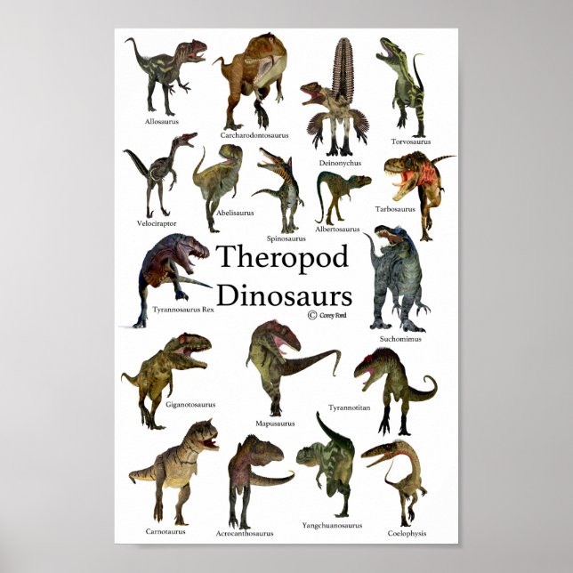 Poster Dinossauros Theropod (Frente)
