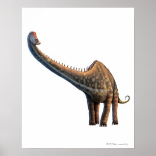 Póster Diplodocus