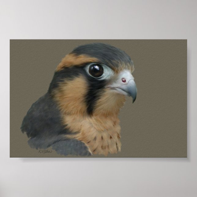 Poster Diplomado (Frente)