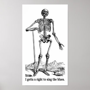 Poster Direito para cantar os azuis