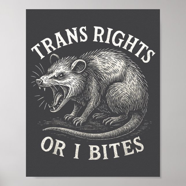 Poster Direitos Trans Ou Eu Morde Engraçado Transgênero S (Frente)