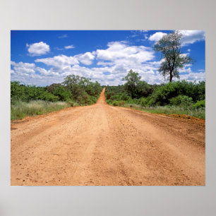 Póster Dirt Road, Kruger National Park, Mbomalanga