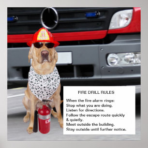 Poster Discagem de Fogo Personalizável
