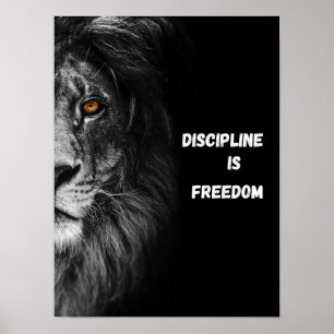 Poster Disciplina é Liberdade ultra-Fechada Cabeça de Leã