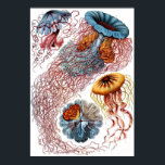 Póster Disco<br><div class="desc">Um prato de Ernst Haeckel "Kunstformen der Nature" (1899),  representando Disco Dusae.</div>